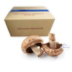 Hongo boletus congelado IQF 136Klg/30Lb